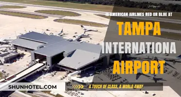American Airlines at Tampa International: Red or Blue Terminal?