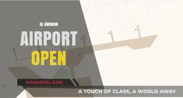 Is Amman Airport Open? Latest Updates and Travel Information