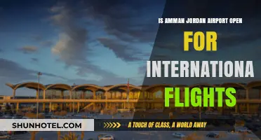 Amman Jordan Airport: International Flights Operational Status Update