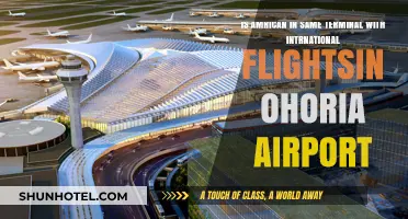 Navigating O'Hare: Are American and International Flights Terminally Linked?
