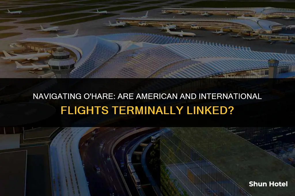 is amrican in same terminal with intrnational flightsin ohoria airport