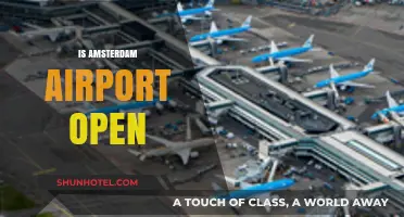 Is Amsterdam Airport Open? Current Status and Travel Updates