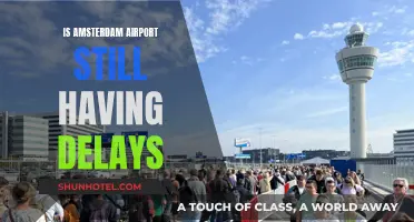 Amsterdam Airport Delays: What's the Current Situation?
