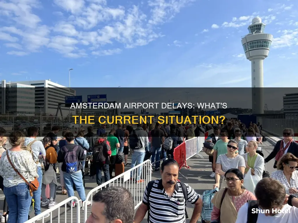 is amsterdam airport still having delays