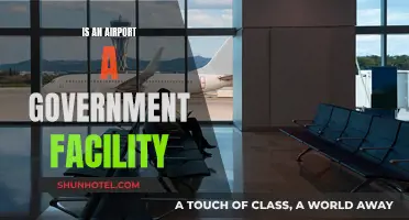 Airports: Government-Owned Facilities or Privately Run Operations?