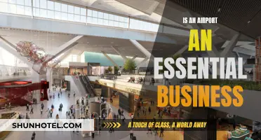 Airports: Essential or Not?