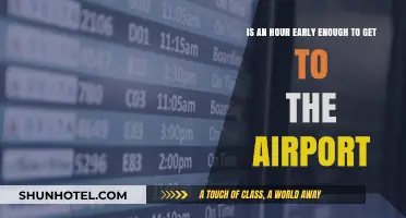 Is an Hour Early Enough for Airport Arrival? Tips & Insights