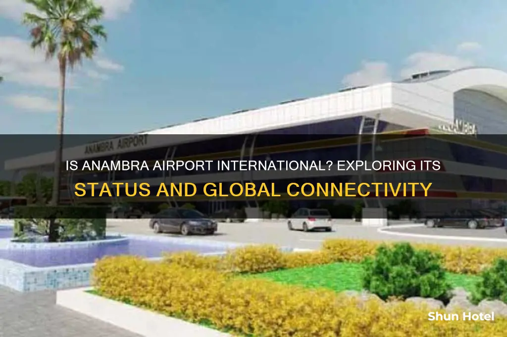 is anambra airport international