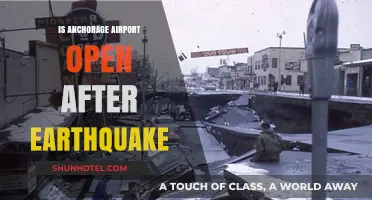 Anchorage Airport Operational Status Post-Earthquake: What Travelers Need to Know