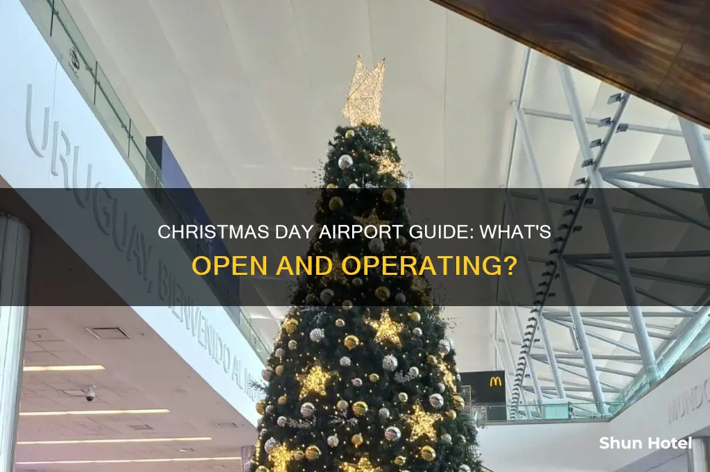 is anything open in the airport christmas day