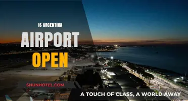 Is Argentina Airport Open? Latest Updates and Travel Information
