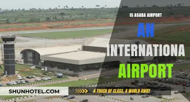 Is Asaba Airport International? Exploring Its Status and Capabilities