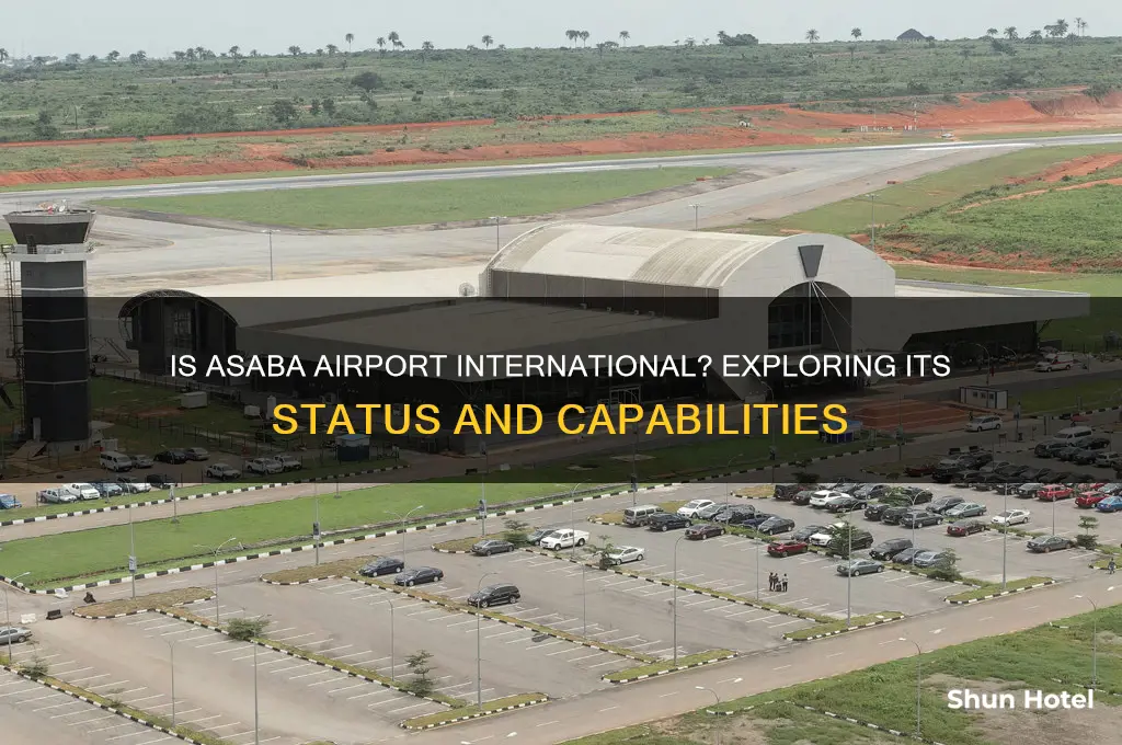 is asaba airport an international airport