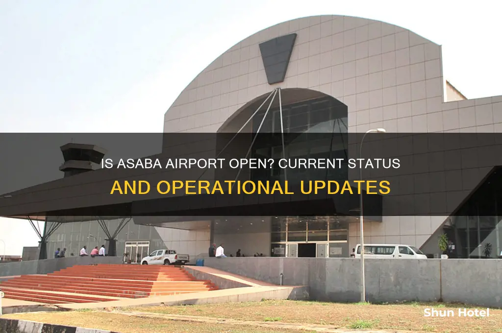 is asaba airport open