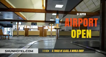 Is Aspen Airport Open? Current Status and Travel Updates
