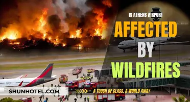 Wildfires' Impact on Athens Airport: Delays and Closures?