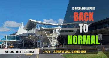 Auckland Airport: Back to Business as Usual?