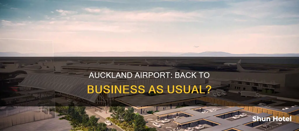 is auckland airport back to normal