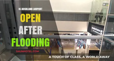 Auckland Airport Operational Status Post-Flooding: What Travelers Need to Know