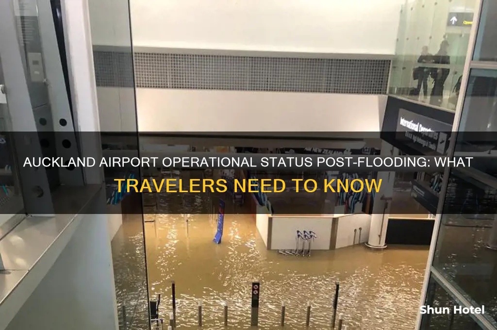 is auckland airport open after flooding
