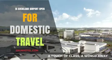 Is Auckland Airport Open for Domestic Flights? Latest Updates