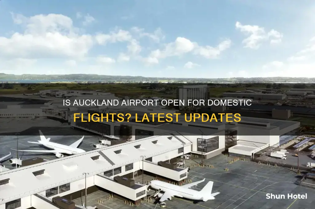 is auckland airport open for domestic travel