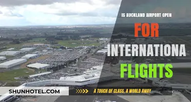 Is Auckland Airport Open for International Flights? Latest Updates