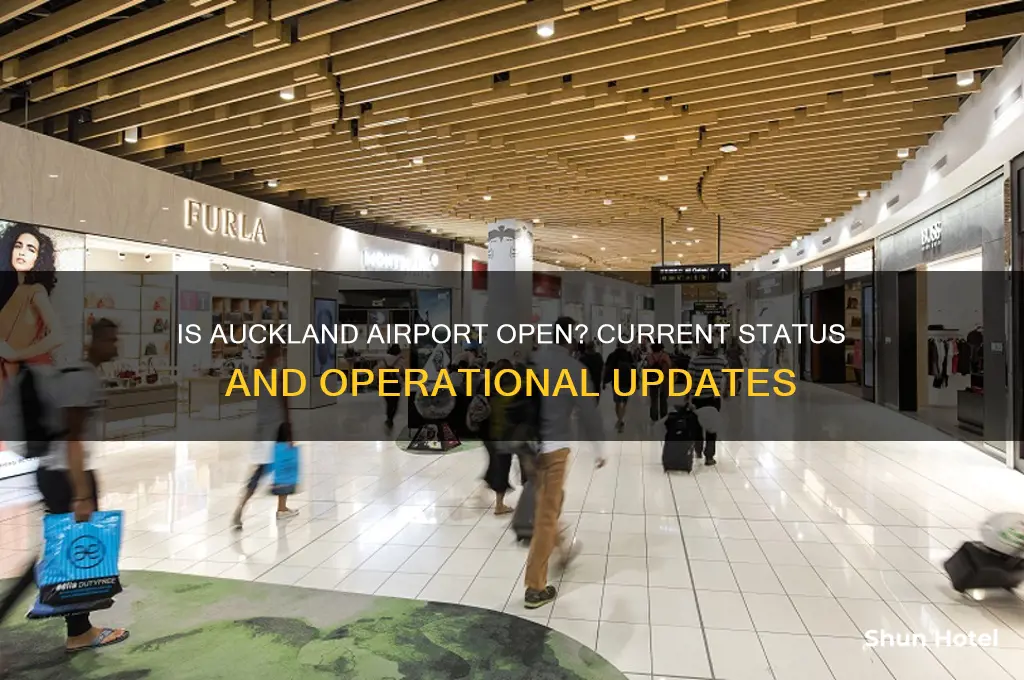 is aukland airport open