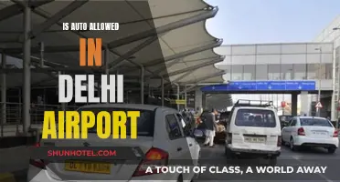 Auto-Rickshaws at Delhi Airport: Allowed or Not?