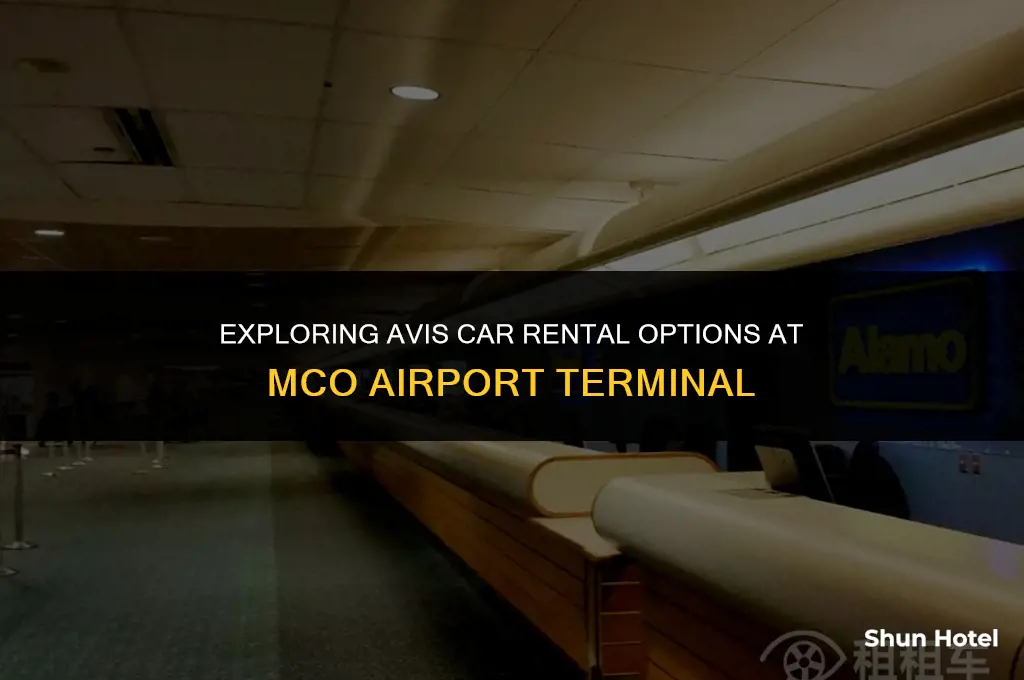is avis at terminal at airport in mco