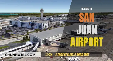 Avis at San Juan Airport: All You Need to Know