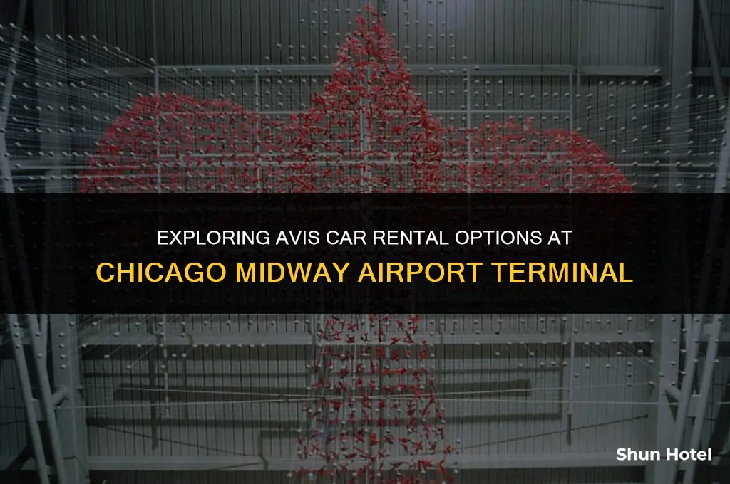 is avis location at chicago midway airport terminal