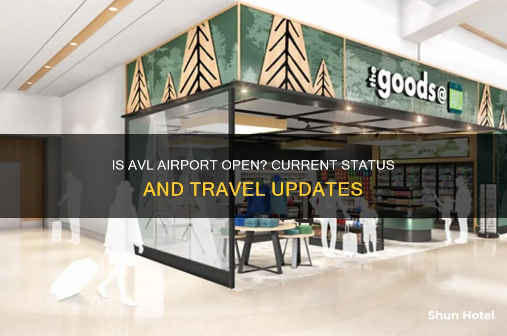 is avl airport open