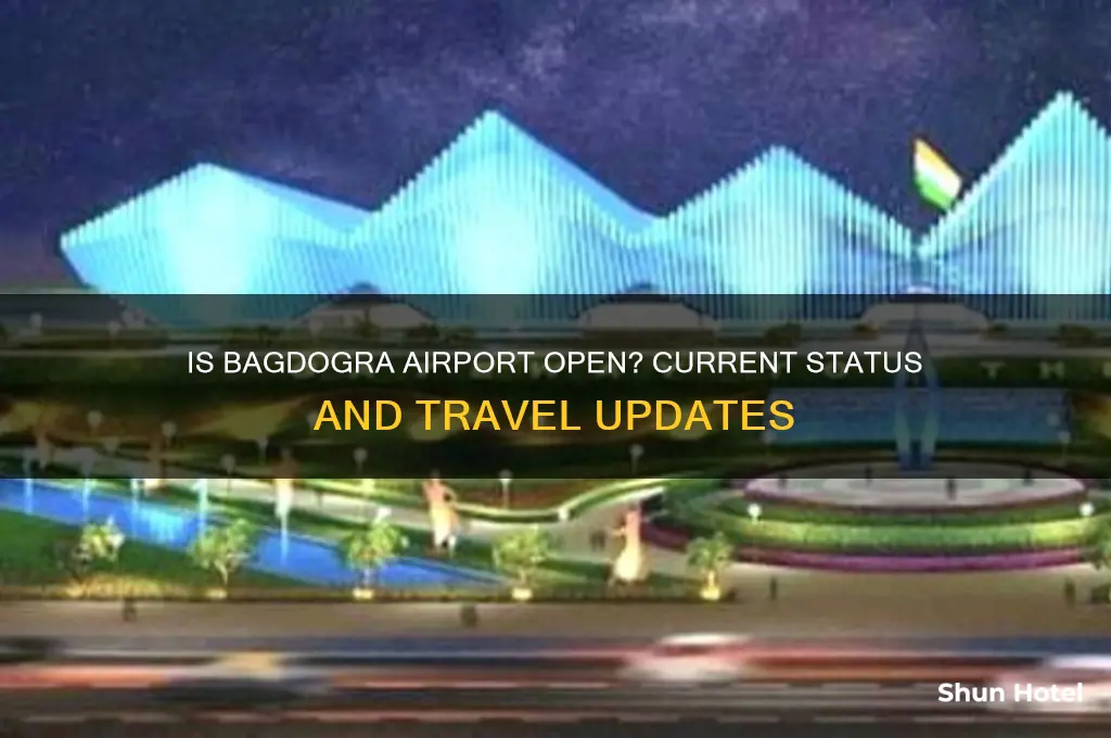 is bagdogra airport open