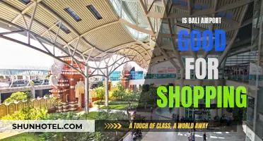 Bali Airport: A Shopper's Paradise or Not?