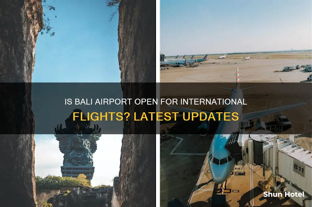 is bali airport open for international flights