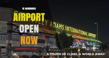 Barbados Airport Operational Status: Current Updates and Travel Guidelines
