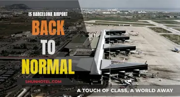 Barcelona Airport: Back to Business as Usual?