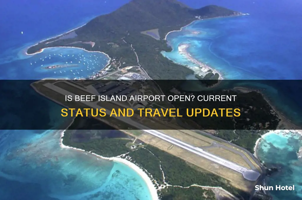 is beef island airport open