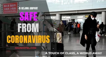 Beijing Airport: Coronavirus-Free and Safe for Travel