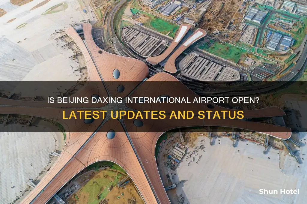 is beijing daxing international airport open