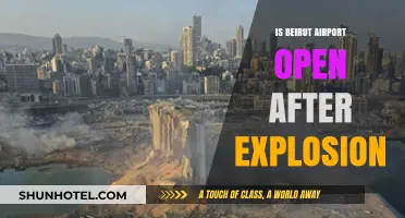 Beirut Airport Operational Status Post-Explosion: What Travelers Need to Know