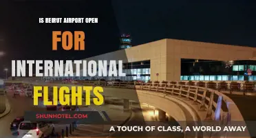 Beirut Airport International Flights: Current Status and Travel Updates