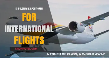 Belgium Airport International Flights: Current Status and Travel Updates