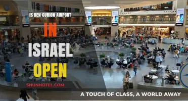 Is Ben Gurion Airport Open? Latest Updates for Israel Travelers