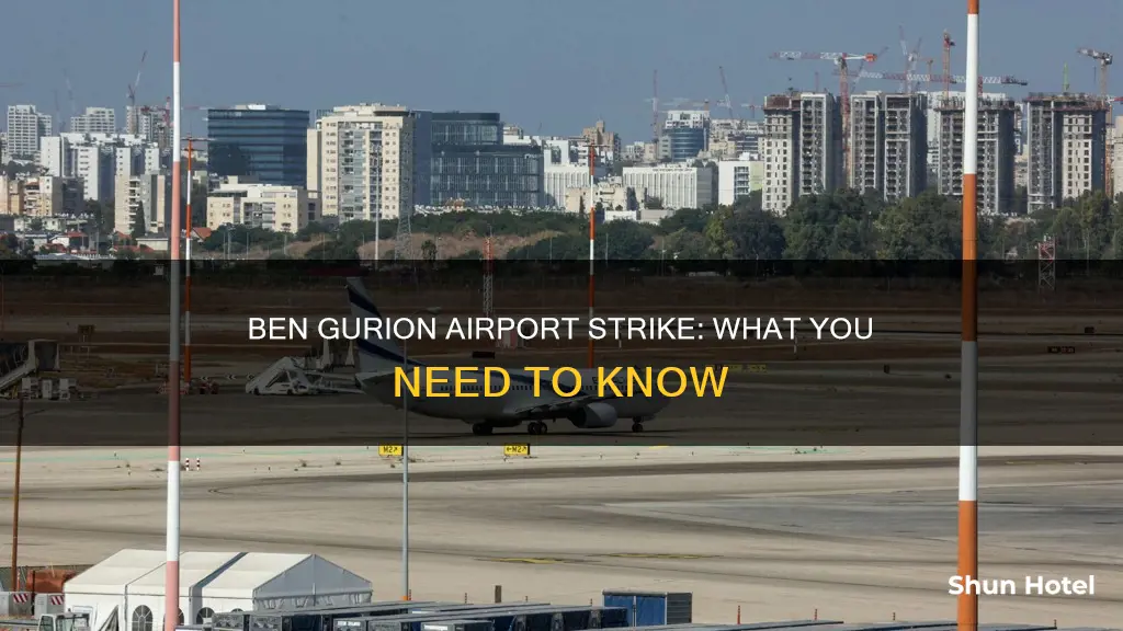 is ben gurion airport on strike