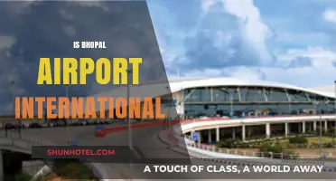 Exploring Bhopal Airport's International Status: Facts and Updates