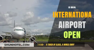 Is Bicol International Airport Open? Current Status and Updates