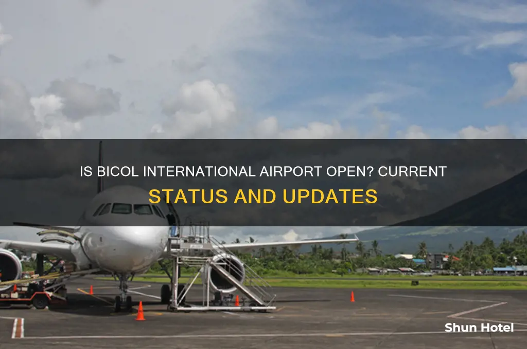 is bicol international airport open