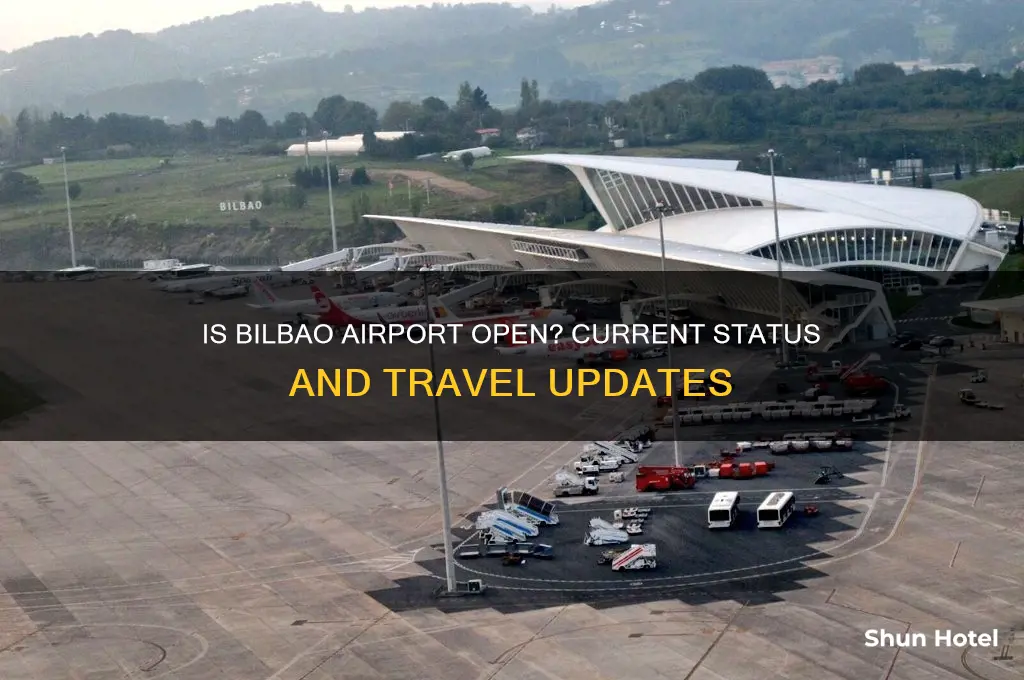 is bilbao airport open